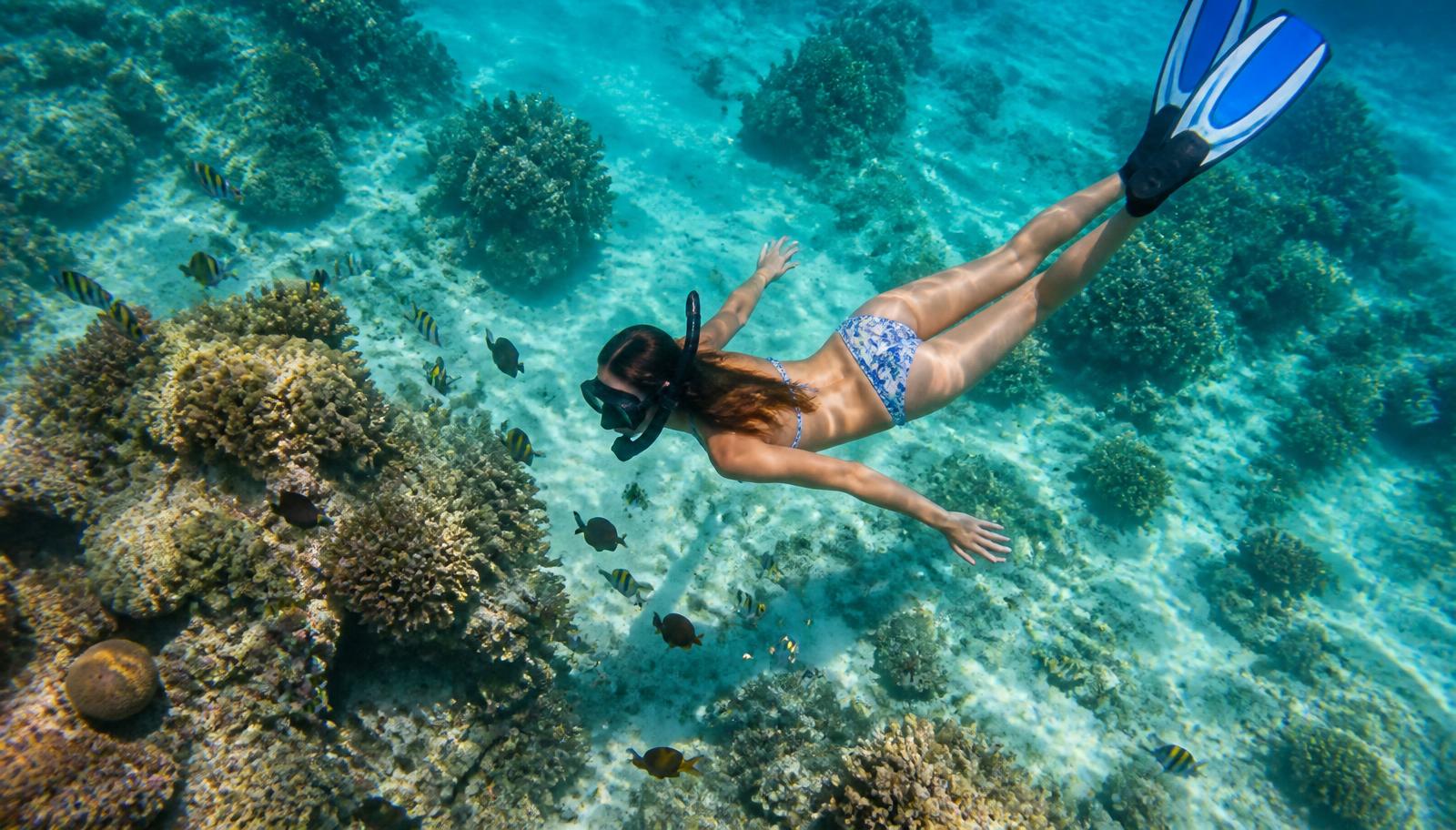 Snorkeller above a shallow Caribbean coral reef in clear turquoise water