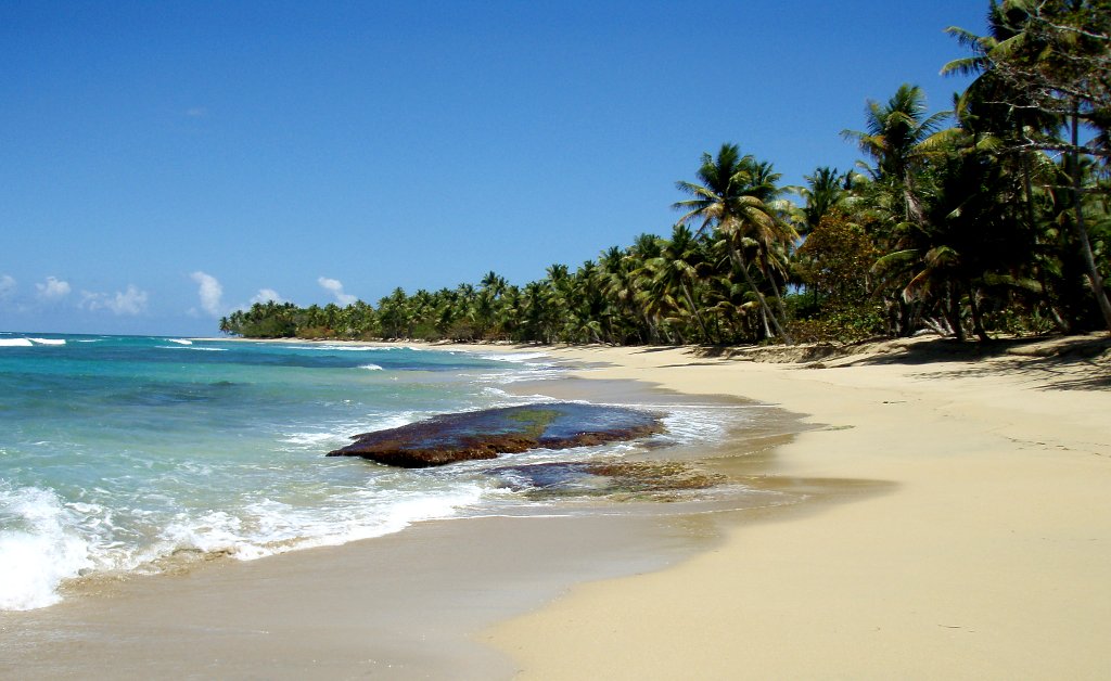 Emerald water and palms at Playa Esmeralda