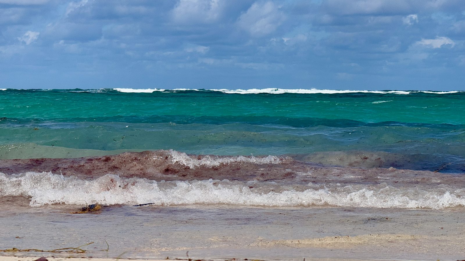Los Corales Beach in Bávaro with palm trees and beach loungers