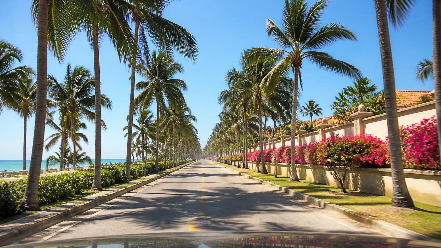 Straight palm-lined coastal road in the Dominican Republic in bright midday sun