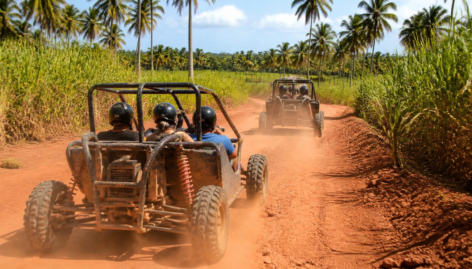 Buggy excursion on a red dirt trail through Dominican palm country